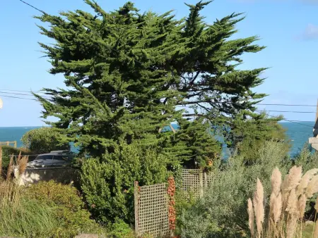 Le Coup de Coeur, Maison 6 personnes à Locquirec - Photo 16