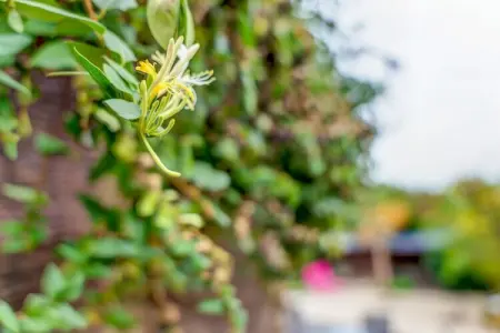 La Maison Arborée de Châtellerault, Belle maison avec grand jardin - Photo 30