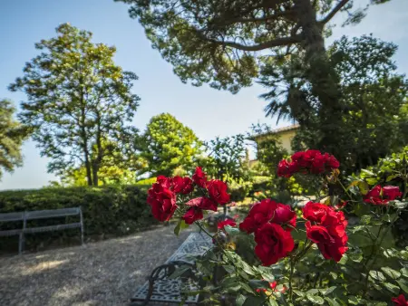 Villa La Guardia Vecchia, Gite 8 personnes à Crespina Lorenzana - Photo 83