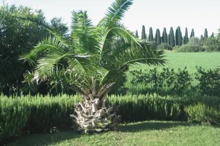 Camelie Ventitre, Maison à Lazise près du lac de Garde - Photo 22