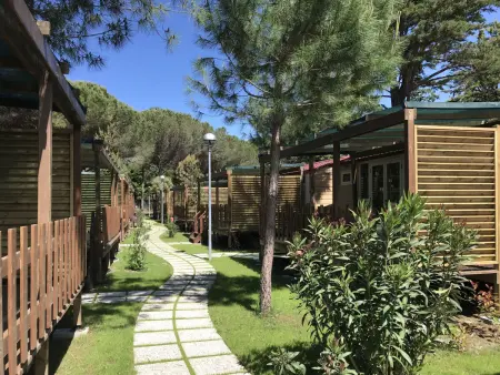 Campeggio del Forte, Maison 5 personnes à Marina di Bibbona - Photo 3