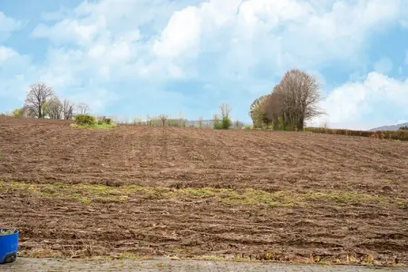 Très belle habitation à Lierneux pour 5 adultes, Maison de vacances avec jardin - Photo 31