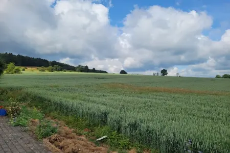 Très belle habitation à Lierneux pour 5 adultes, Maison de vacances avec jardin - Photo 35