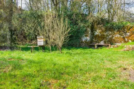 La Chinelle, Maison de vacances à Philippeville avec jardin - Photo 27