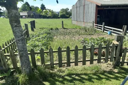 Chez Cyrille, Jolie ferme à Houffalize avec cour - Photo 31