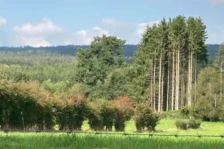 La Forêt, Chalet avec vue panoramique et jardin clôturé - Photo 32