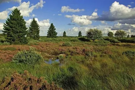 La Forêt, Chalet avec vue panoramique et jardin clôturé - Photo 36