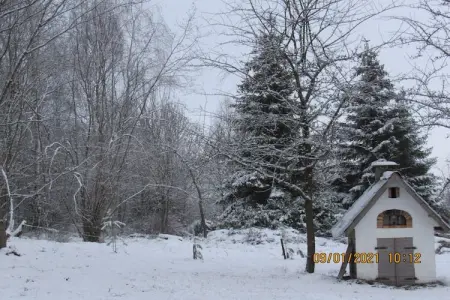 La Forêt, Chalet avec vue panoramique et jardin clôturé - Photo 39