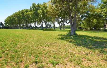 Maison 5 personnes à Avignon - Photo 9