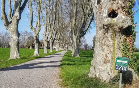 Maison 5 personnes à Avignon - Photo 12