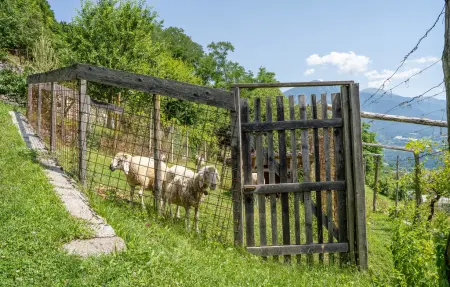 IL CASOTTO, Maison 7 personnes à Telve di Sopra - Photo 20