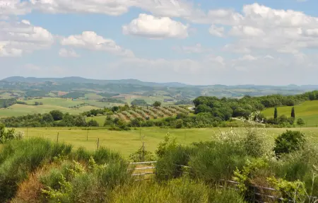 La Collina, Maison 8 personnes à Murlo - Photo 26