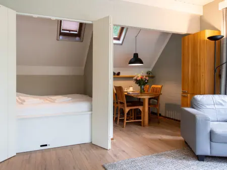 Buitenplaats Gerner, Maison 4 personnes à Dalfsen - Photo 9