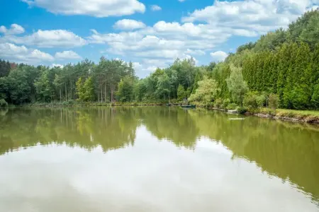Le Bateau du Lac Privé, Chalet idyllique au bord du lac - Photo 20