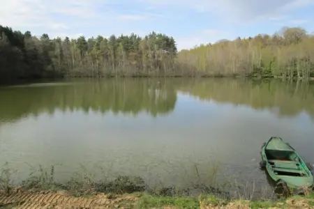 Le Bateau du Lac Privé, Chalet idyllique au bord du lac - Photo 27