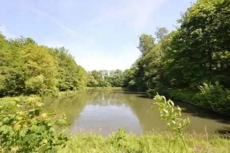 Le Bateau du Lac Privé, Chalet idyllique au bord du lac - Photo 35