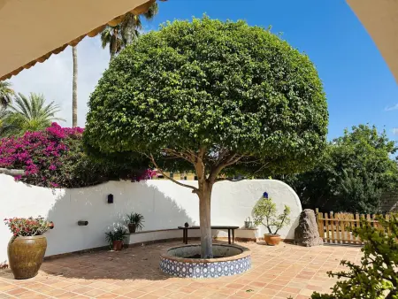 Finca Ingala, Maison 5 personnes à Costa Adeje - Photo 4
