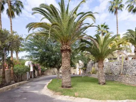 Finca Ingala, Maison 5 personnes à Costa Adeje - Photo 33