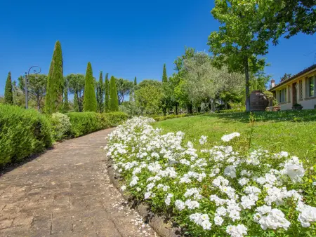Villa Rosa, Maison 8 personnes à Cecina - Photo 40