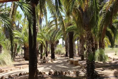 Can Xesquet, Villa à Ses Salines avec piscine privée - Photo 4