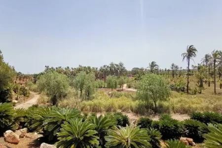 Can Xesquet, Villa à Ses Salines avec piscine privée - Photo 8
