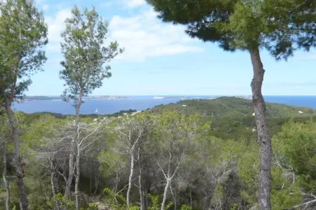 Sol Post, Villa à Santa Agnès près de Cala Salada - Photo 30