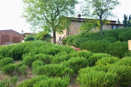Il Poggiale-apt 9, Ferme en Toscane avec piscine et dégustation de vin - Photo 18