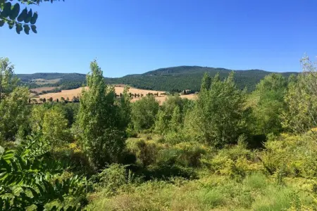 Il Poggiale-apt 9, Ferme en Toscane avec piscine et dégustation de vin - Photo 21