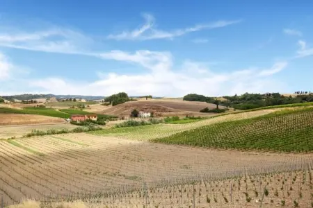 Il Poggiale-apt 9, Ferme en Toscane avec piscine et dégustation de vin - Photo 26