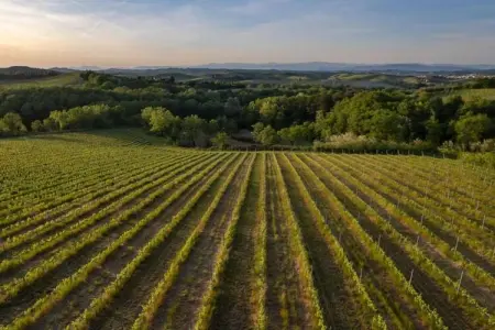 Il Poggiale-apt 9, Ferme en Toscane avec piscine et dégustation de vin - Photo 36