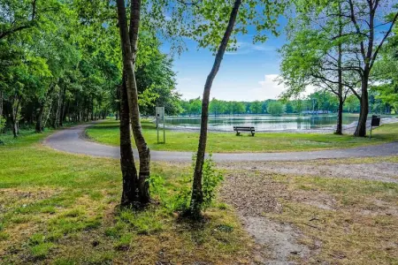 Sonnevijver NR A50, Maison de vacances lumineuse à Lanaken près du lac avec jardin - Photo 32