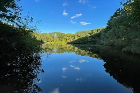 Sonnevijver NR A50, Maison de vacances lumineuse à Lanaken près du lac avec jardin - Photo 40