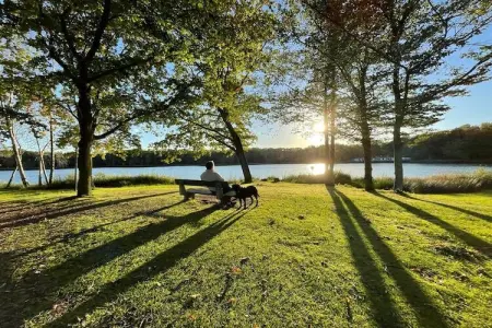 Sonnevijver NR A50, Maison de vacances lumineuse à Lanaken près du lac avec jardin - Photo 41
