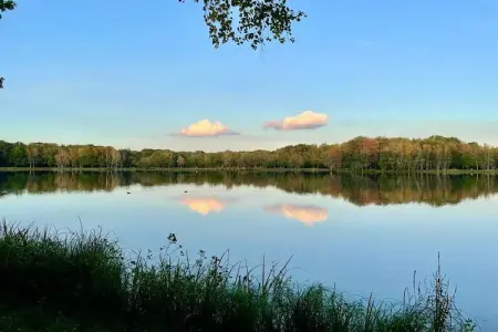 Sonnevijver NR A50, Maison de vacances lumineuse à Lanaken près du lac avec jardin - Photo 42