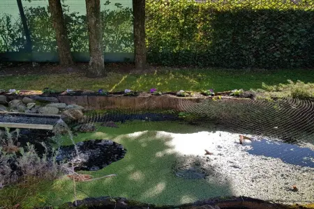 Sonnevijver NR A50, Maison de vacances lumineuse à Lanaken près du lac avec jardin - Photo 43