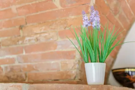 Casanova apt 3, Appartement ensoleillé avec jardin - Photo 38