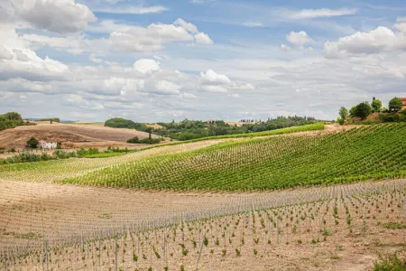 Il Poggiale-app6, Montaione Harmony : Hébergement - Photo 9