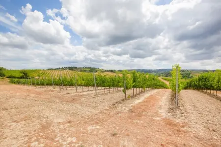 Il Poggiale-app6, Montaione Harmony : Hébergement - Photo 10