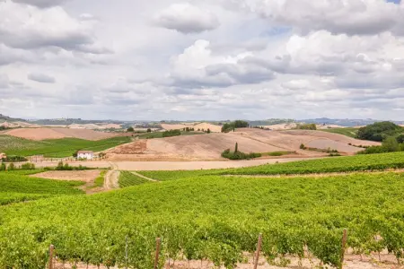 Il Poggiale-app6, Montaione Harmony : Hébergement - Photo 11
