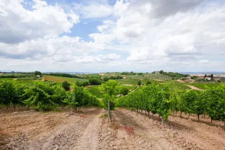 Il Poggiale-app6, Montaione Harmony : Hébergement - Photo 19