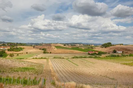 Il Poggiale-app6, Montaione Harmony : Hébergement - Photo 37