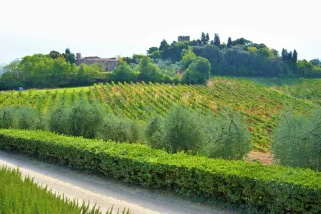 Il Poggiale-app6, Montaione Harmony : Hébergement - Photo 38