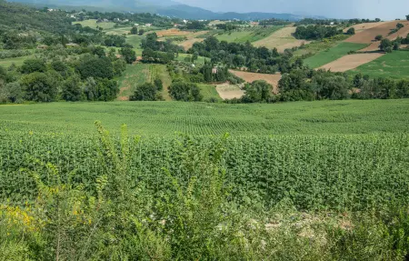 Maison 9 personnes à Alviano - Photo 33