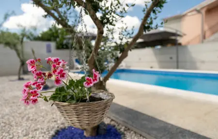 Maison 4 personnes à Nedescina - Photo 14