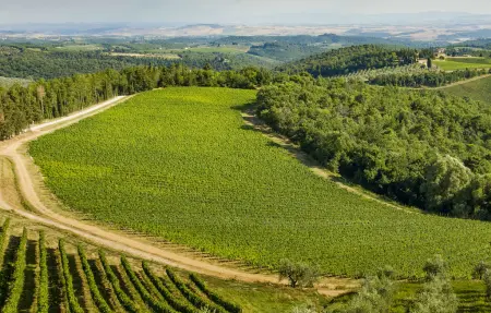 Maison 10 personnes à Greve in Chianti - Photo 26