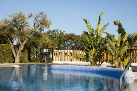 La Llosa Ponent, Bungalow à Cambrils avec Piscine - Photo 24