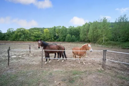 Bilocale, Maison de vacances à Ficulle avec accès à la piscine - Photo 33