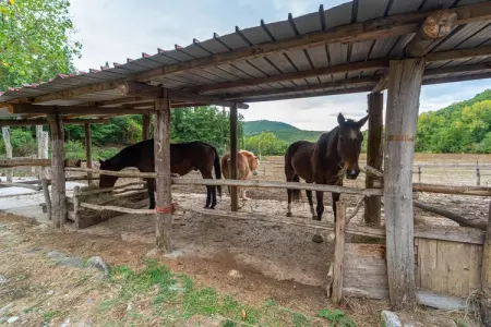 Bilocale, Maison de vacances à Ficulle avec accès à la piscine - Photo 34