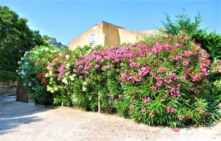 Maison 6 personnes à Saint Victor la Coste - Photo 8