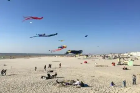 Berck sur Mer 9, Maison de plage en France près de la côte - Photo 29